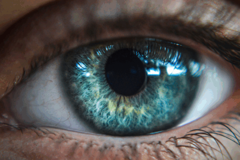 Visualization