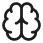 brain