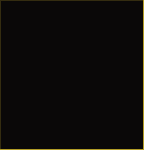Rectangle 248